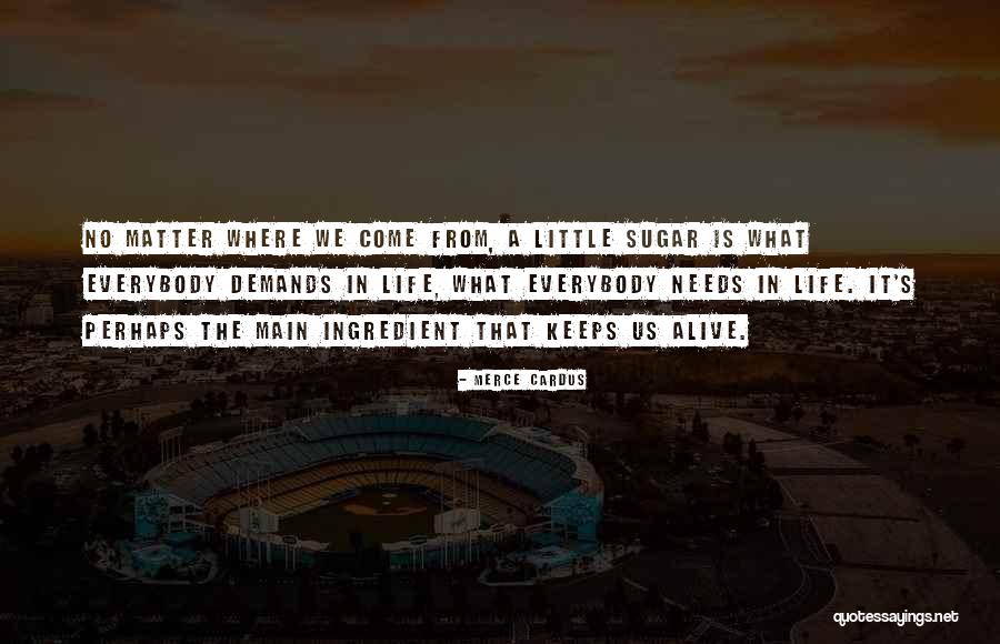 Cheesy Elephant Quotes By Merce Cardus Cheesy Elephant Quotes By Merce Cardus