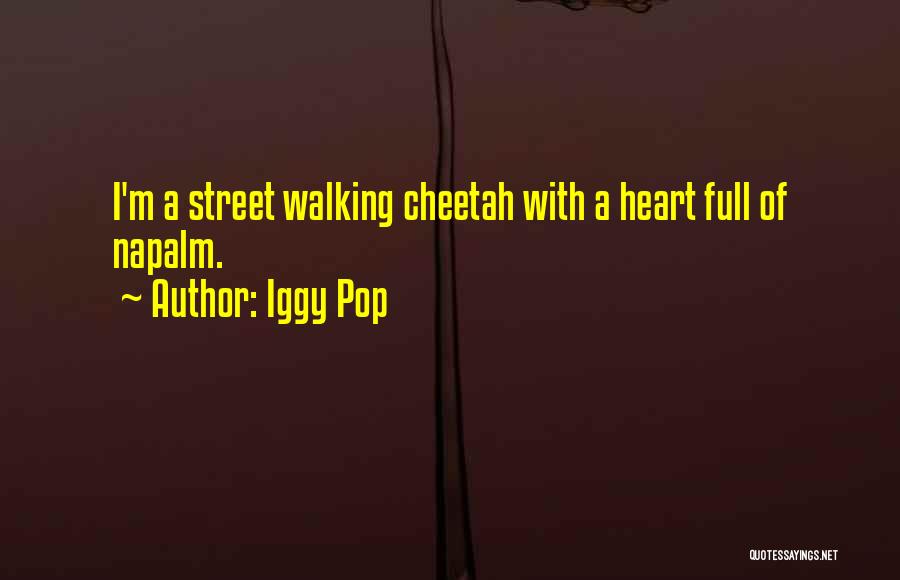 Cheetah Quotes By Iggy Pop