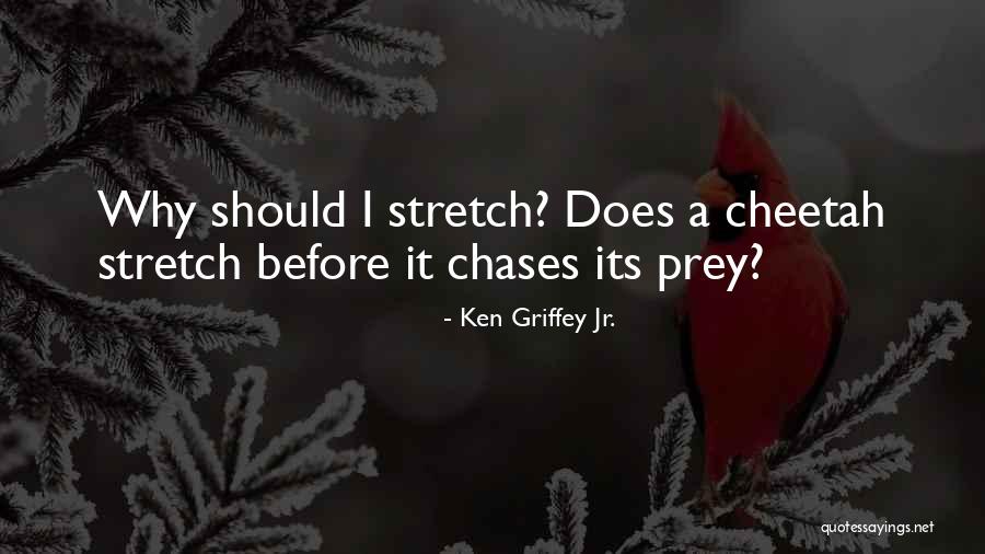 Cheetah Quotes By Ken Griffey Jr.