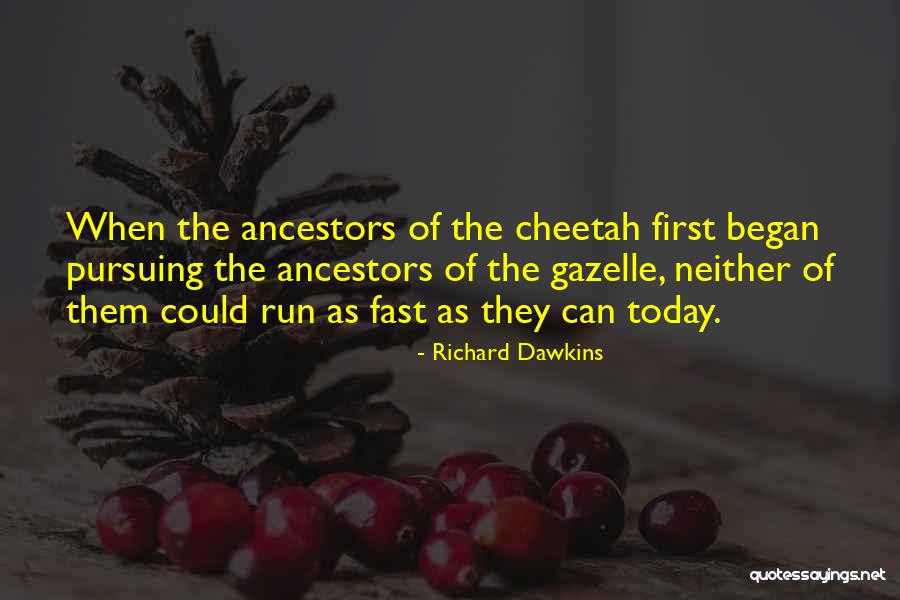 Cheetah Quotes By Richard Dawkins