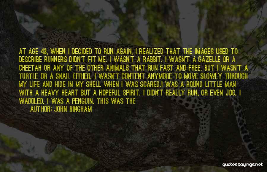 Cheetah Running Quotes By John Bingham