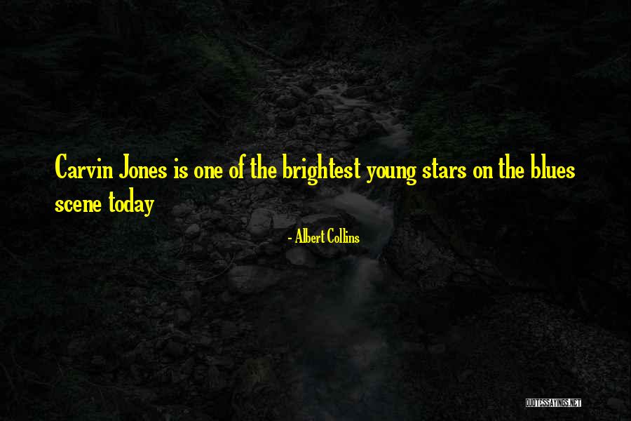 Chef Juna Quotes By Albert Collins Chef Juna Quotes By Albert Collins