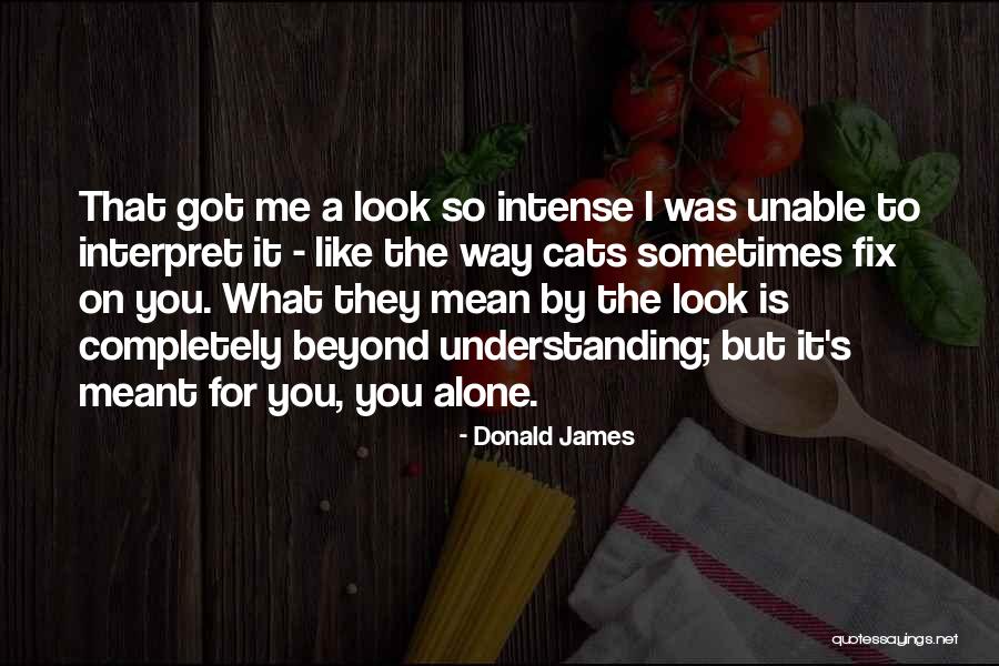 Chefs Cooking And Food Quotes By Donald James Chefs Cooking And Food Quotes By Donald James