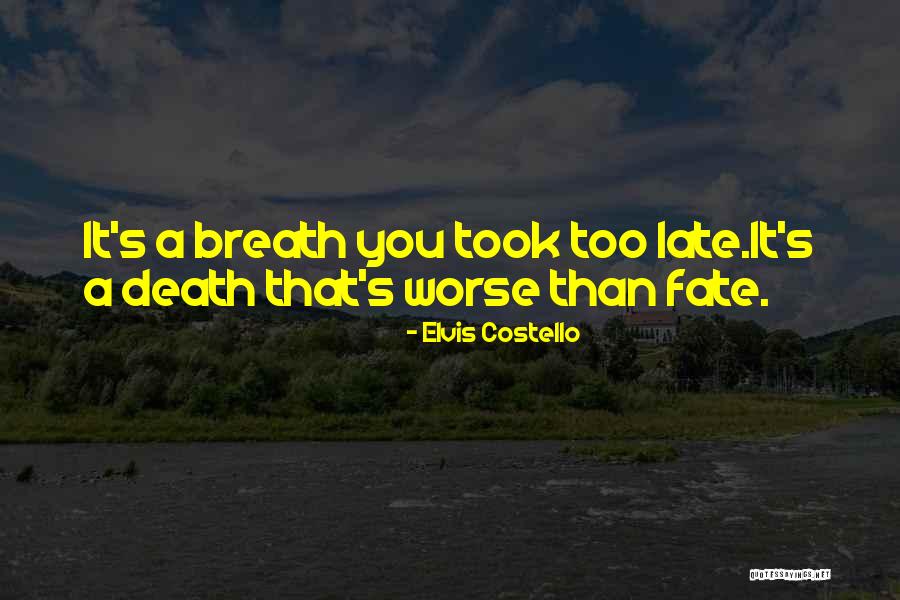 Cheful Lautarilor Quotes By Elvis Costello Cheful Lautarilor Quotes By Elvis Costello