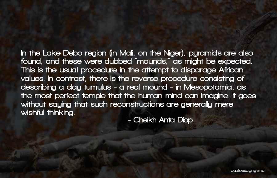 Cheikh Anta Diop Quotes 862799