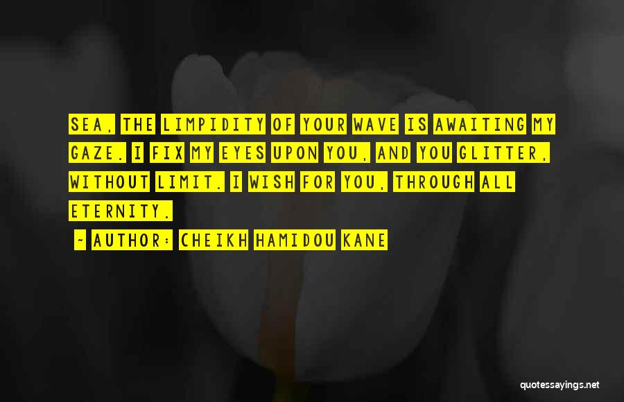 Cheikh Hamidou Kane Quotes 352031