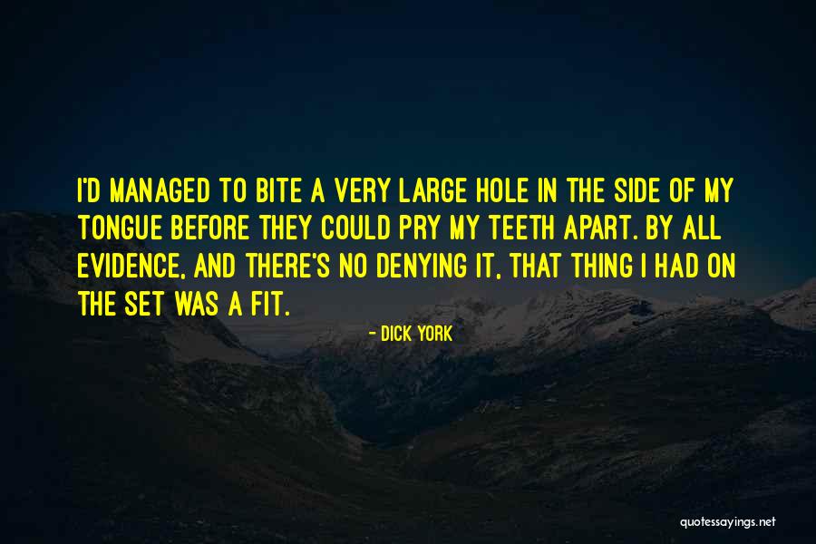 Cheile Dambovicioarei Quotes By Dick York Cheile Dambovicioarei Quotes By Dick York