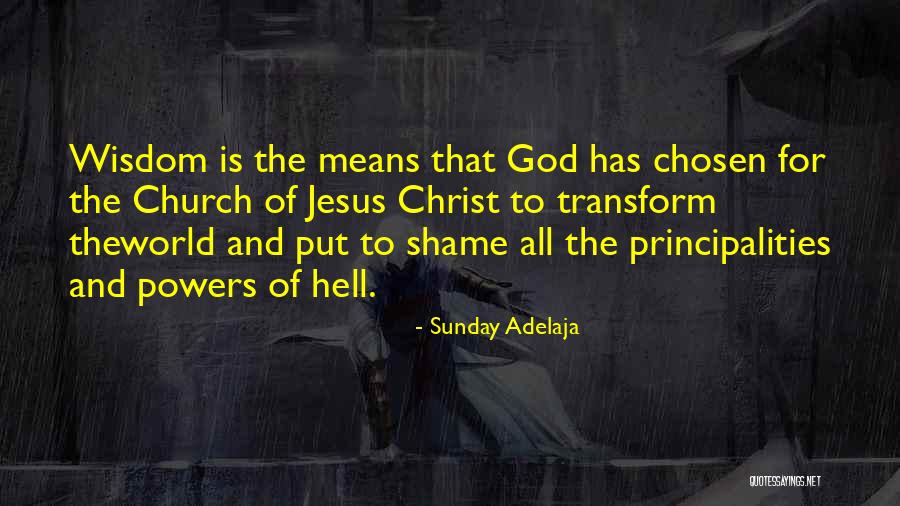 Chelated Magnesium Quotes By Sunday Adelaja Chelated Magnesium Quotes By Sunday Adelaja