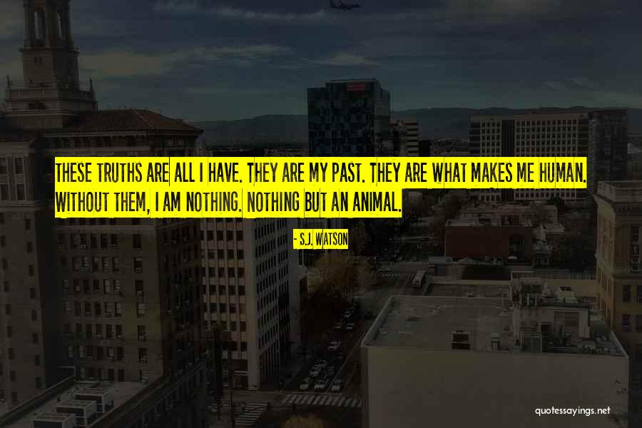 Chelbars Quotes By S.J. Watson Chelbars Quotes By S.J. Watson