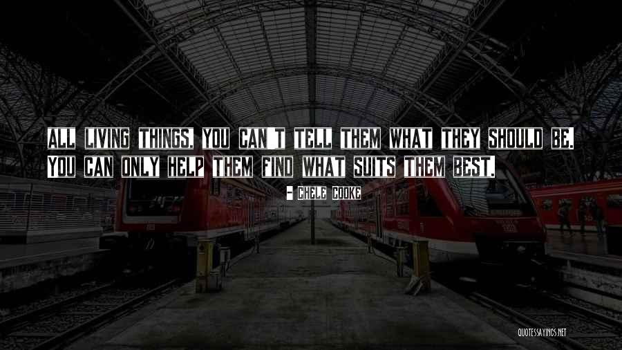 Chele Cooke Quotes 1659444 Chele Cooke Quotes 1659444