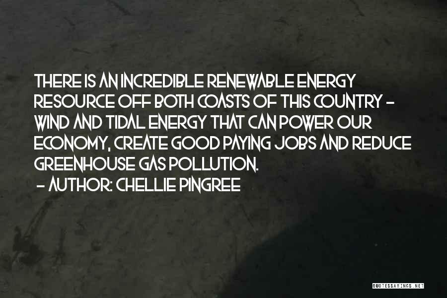 Chellie Pingree Quotes 1297833