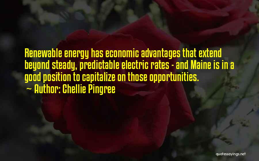 Chellie Pingree Quotes 1362530