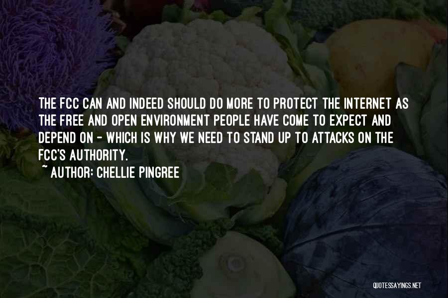 Chellie Pingree Quotes 2008663