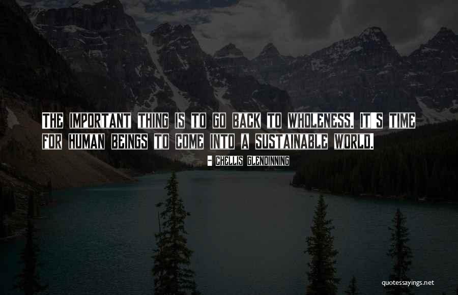 Chellis Glendinning Quotes 1051846 Chellis Glendinning Quotes 1051846