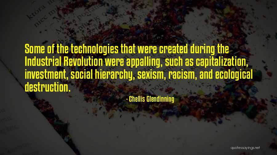 Chellis Glendinning Quotes 851939 Chellis Glendinning Quotes 851939