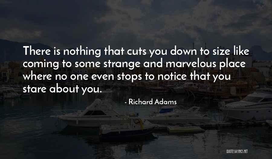 Chelly Canyon Quotes By Richard Adams Chelly Canyon Quotes By Richard Adams