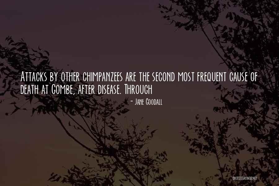 Chelnokova Quotes By Jane Goodall Chelnokova Quotes By Jane Goodall