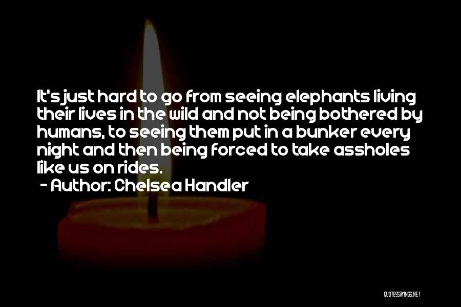 Chelsea Handler Quotes 1619058