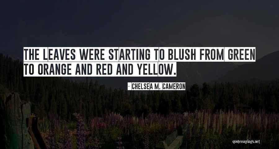 Chelsea M. Cameron Quotes 1426305