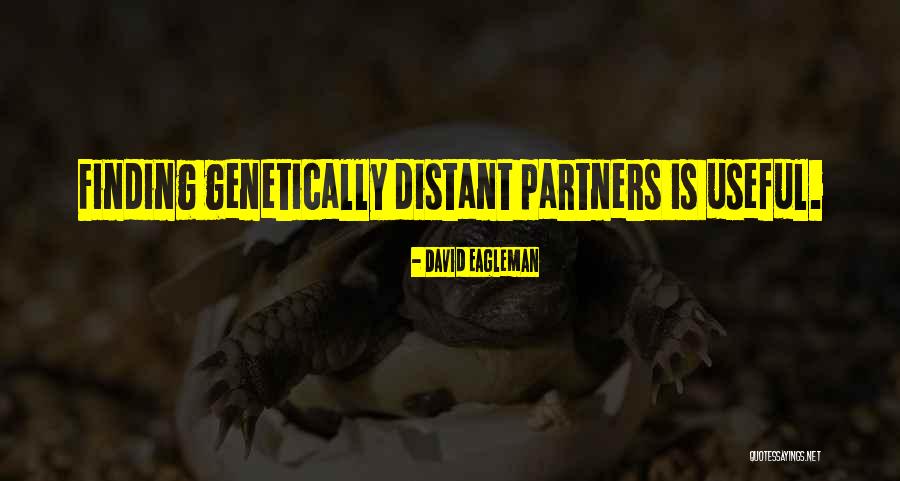 Chelsey Desmond Quotes By David Eagleman Chelsey Desmond Quotes By David Eagleman