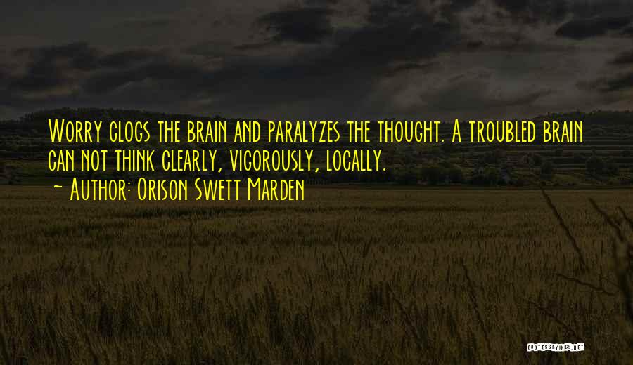 Chemalle Quotes By Orison Swett Marden