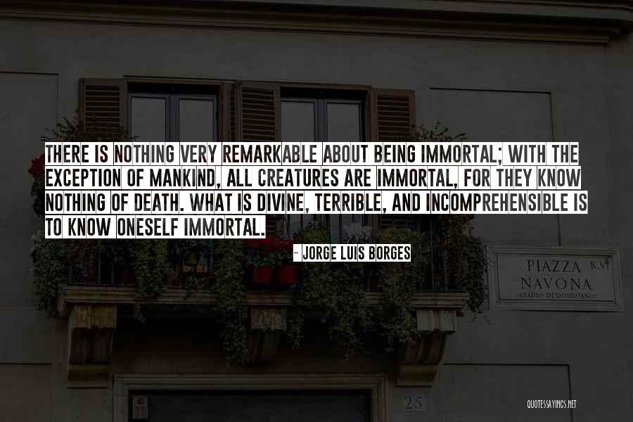Chemarea In Garantie Quotes By Jorge Luis Borges Chemarea In Garantie Quotes By Jorge Luis Borges
