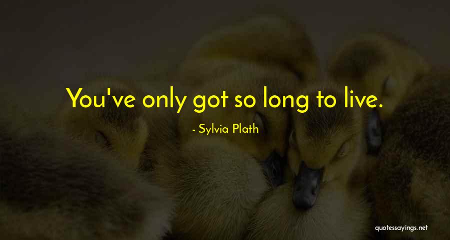 Chemello Arlington Quotes By Sylvia Plath Chemello Arlington Quotes By Sylvia Plath