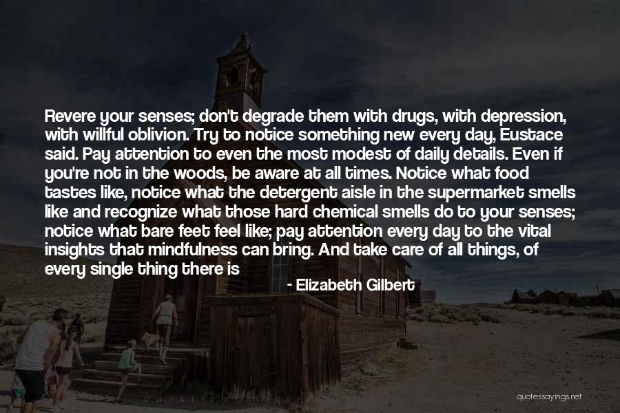 Chemical Drugs Quotes By Elizabeth Gilbert