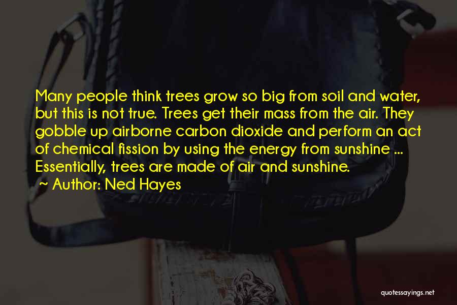 Chemical Energy Quotes By Ned Hayes