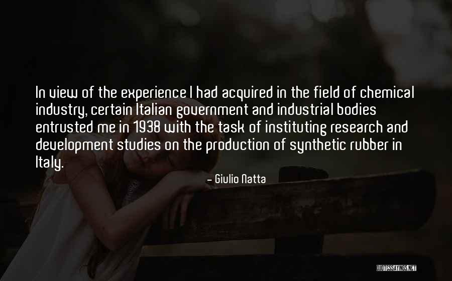 Chemical Industry Quotes By Giulio Natta Chemical Industry Quotes By Giulio Natta