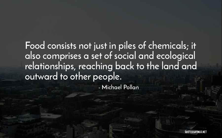 Chemicals In Food Quotes By Michael Pollan