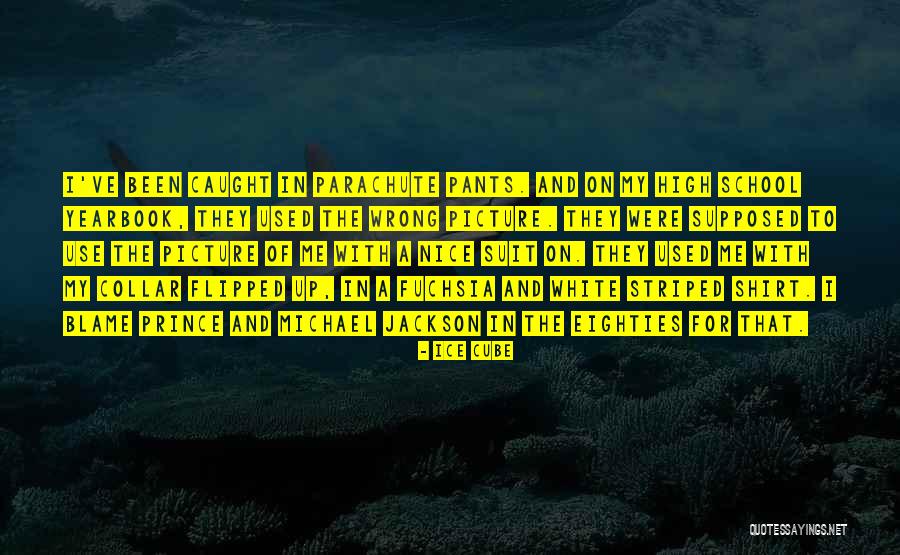 Chemico Biological Interactions Quotes By Ice Cube Chemico Biological Interactions Quotes By Ice Cube