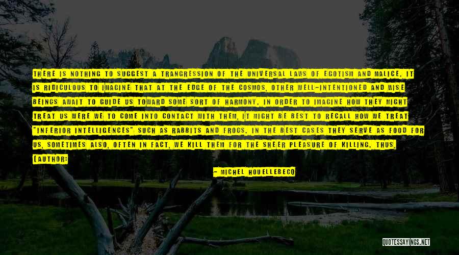 Chemin A Haut Quotes By Michel Houellebecq Chemin A Haut Quotes By Michel Houellebecq
