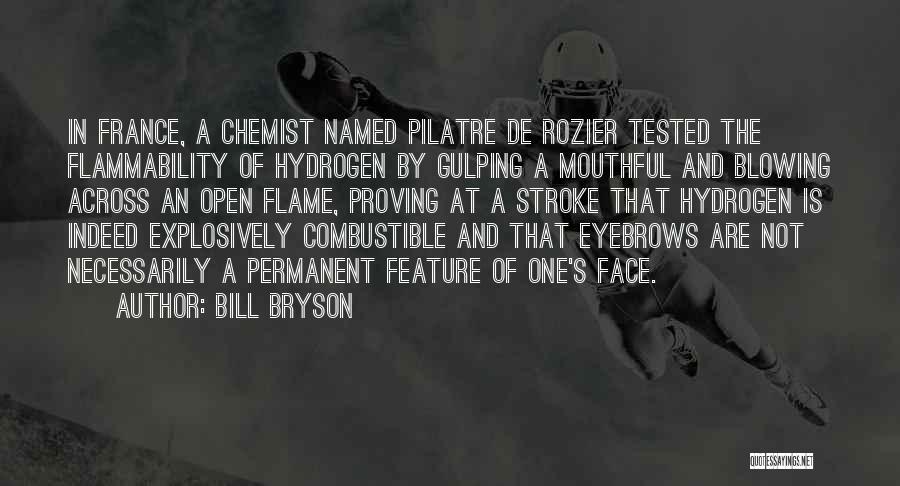 Chemist Quotes By Bill Bryson