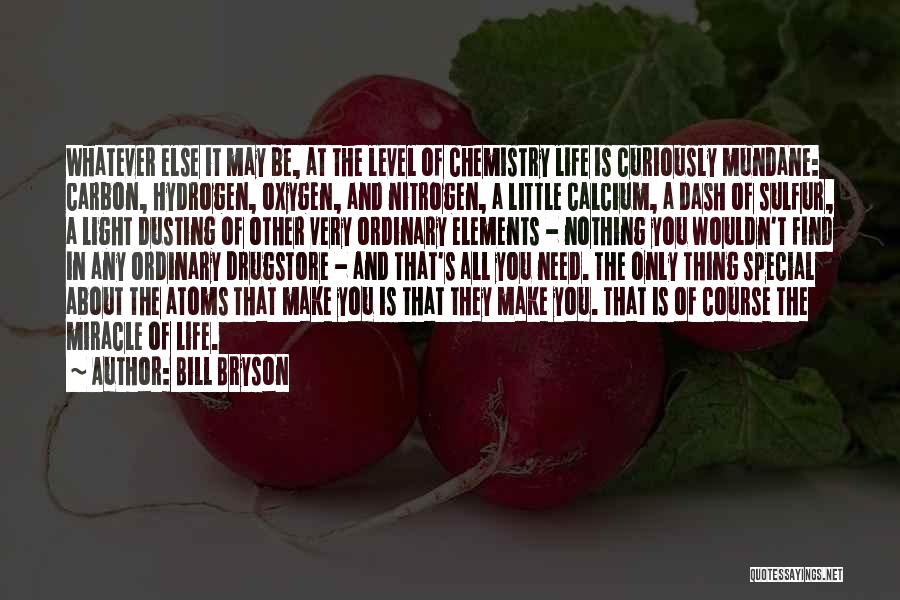 Chemistry Elements Quotes By Bill Bryson