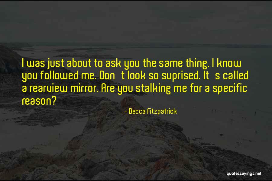 Chemistry Is The Foundation Quotes By Becca Fitzpatrick Chemistry Is The Foundation Quotes By Becca Fitzpatrick
