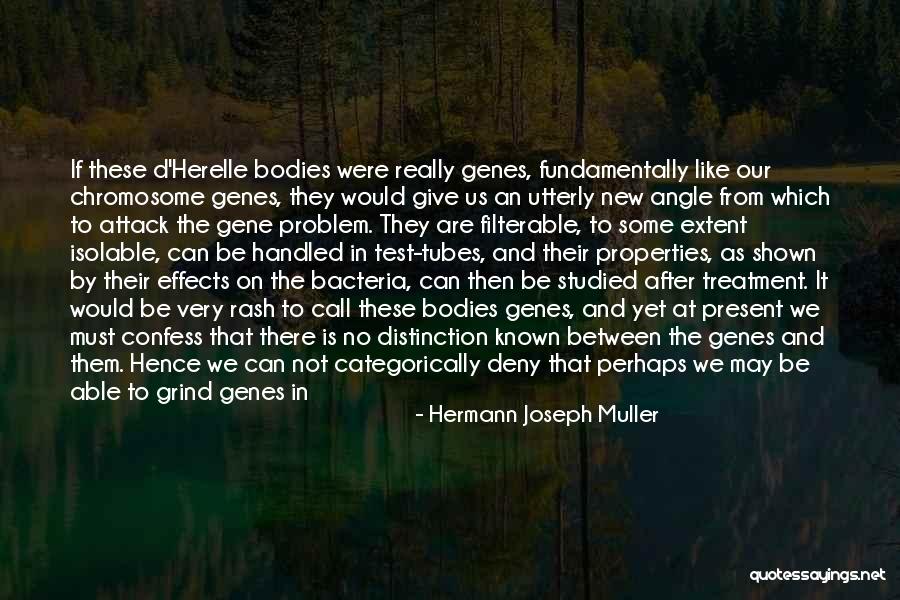 Chemists Quotes By Hermann Joseph Muller Chemists Quotes By Hermann Joseph Muller