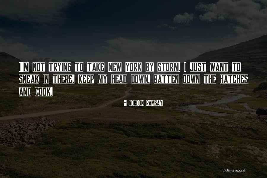 Chemtrails Youtube Quotes By Gordon Ramsay Chemtrails Youtube Quotes By Gordon Ramsay