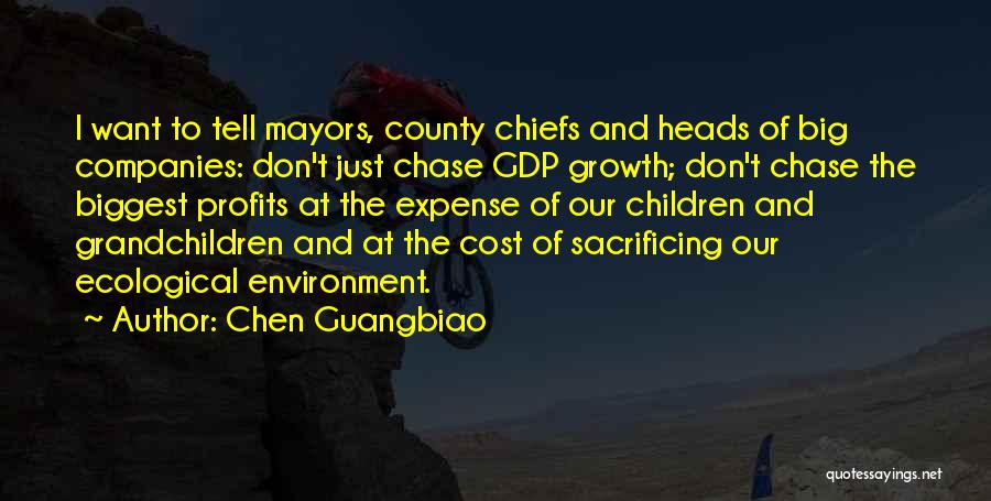 Chen Guangbiao Quotes 2261832