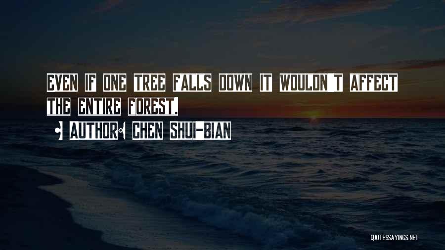 Chen Shui-bian Quotes 1941274