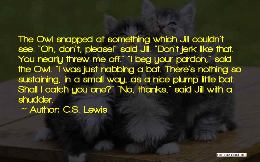 Chencho Plan Quotes By C.S. Lewis