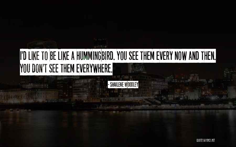 Chenette Realty Quotes By Shailene Woodley Chenette Realty Quotes By Shailene Woodley