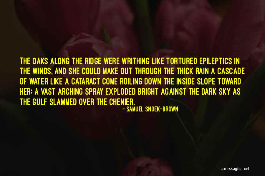 Chenier Quotes By Samuel Snoek-Brown Chenier Quotes By Samuel Snoek-Brown