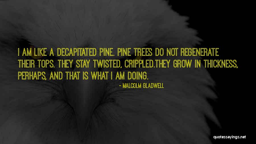 Chennai Super Kings Cheer Quotes By Malcolm Gladwell Chennai Super Kings Cheer Quotes By Malcolm Gladwell