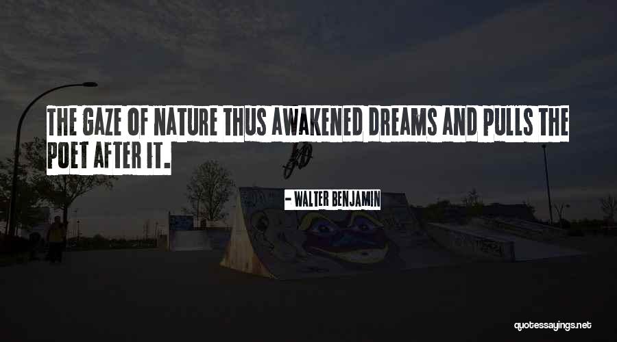 Chennouf Nadji Quotes By Walter Benjamin Chennouf Nadji Quotes By Walter Benjamin