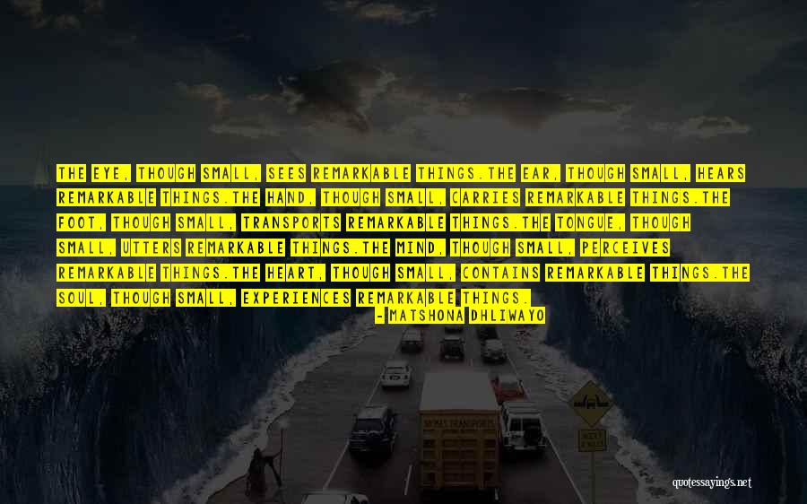 Chentsov Quotes By Matshona Dhliwayo Chentsov Quotes By Matshona Dhliwayo