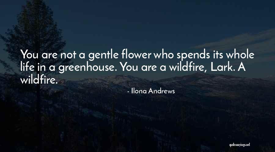 Chephren Statue Quotes By Ilona Andrews Chephren Statue Quotes By Ilona Andrews