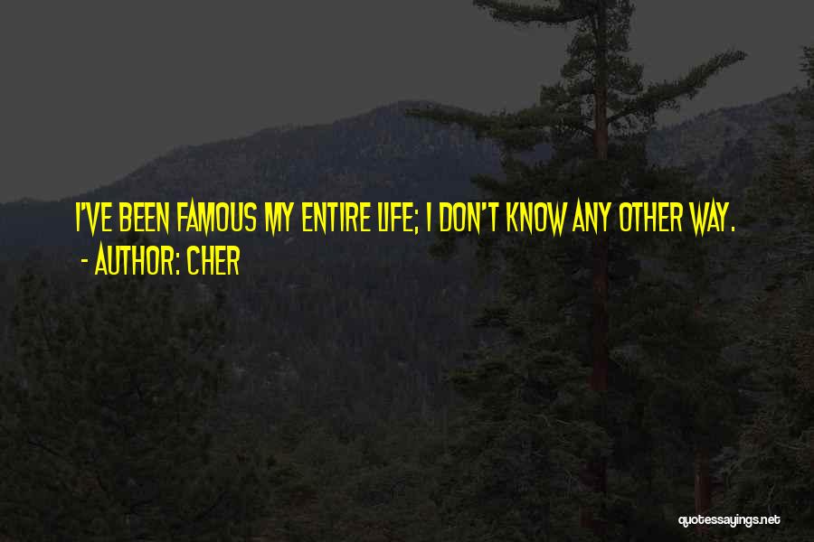 Cher Quotes 78571