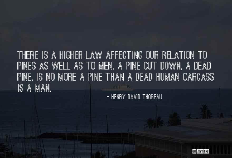 Chereoke Quotes By Henry David Thoreau Chereoke Quotes By Henry David Thoreau