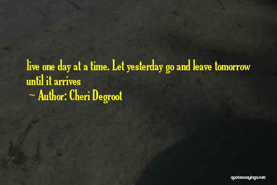Cheri Degroot Quotes 258620
